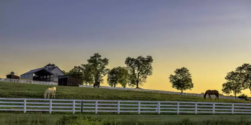 2025 FHA Loan Limits in Kentucky